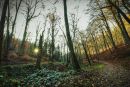IMG 4789 2