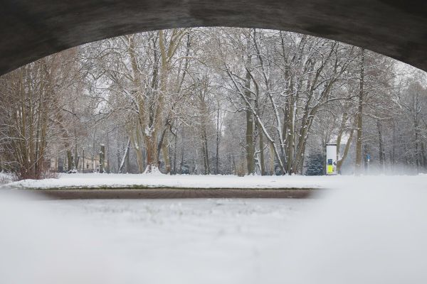 IMG 2946