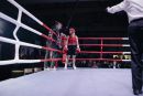 IMG 3642