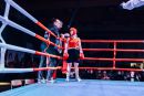 IMG 3643