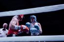 IMG 3667