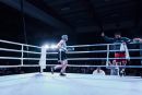 IMG 3671