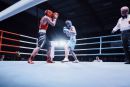 IMG 3723