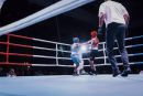IMG 3761