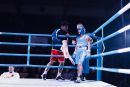 IMG 3769