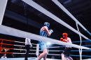 IMG 3821