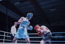IMG 3849