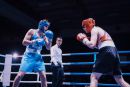 IMG 3859