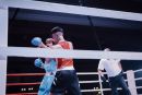 IMG 4046