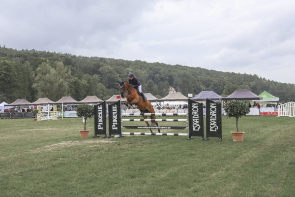 rakoczy reitturnier0825 Ben Kiesel 4541