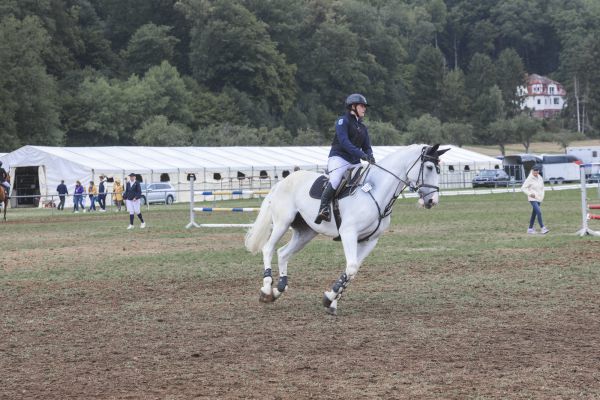 rakoczy reitturnier0825 Ben Kiesel 4656