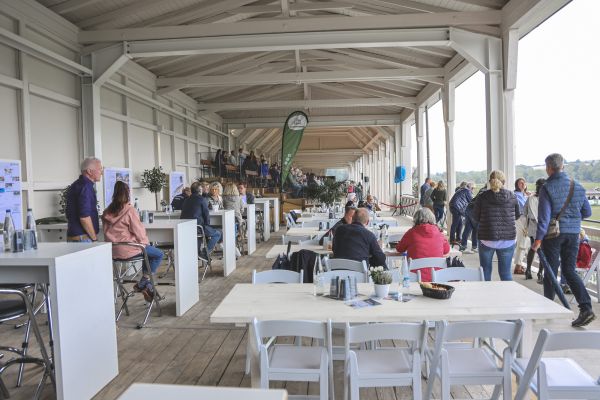 rakoczy reitturnier0825 Ben Kiesel 4759