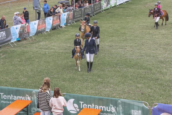 rakoczy reitturnier0825 Ben Kiesel 4775