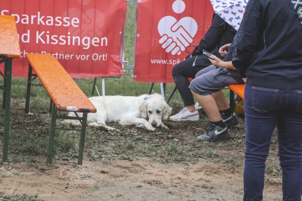 rakoczy reitturnier0825 Ben Kiesel 4817