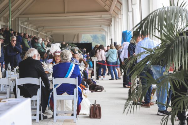 rakoczy reitturnier0825 Ben Kiesel 4827