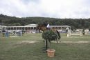 rakoczy reitturnier0825 Ben Kiesel 5005