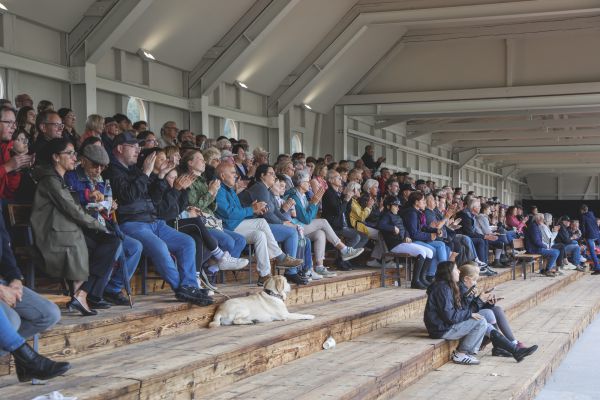 rakoczy reitturnier0825 Ben Kiesel 5229